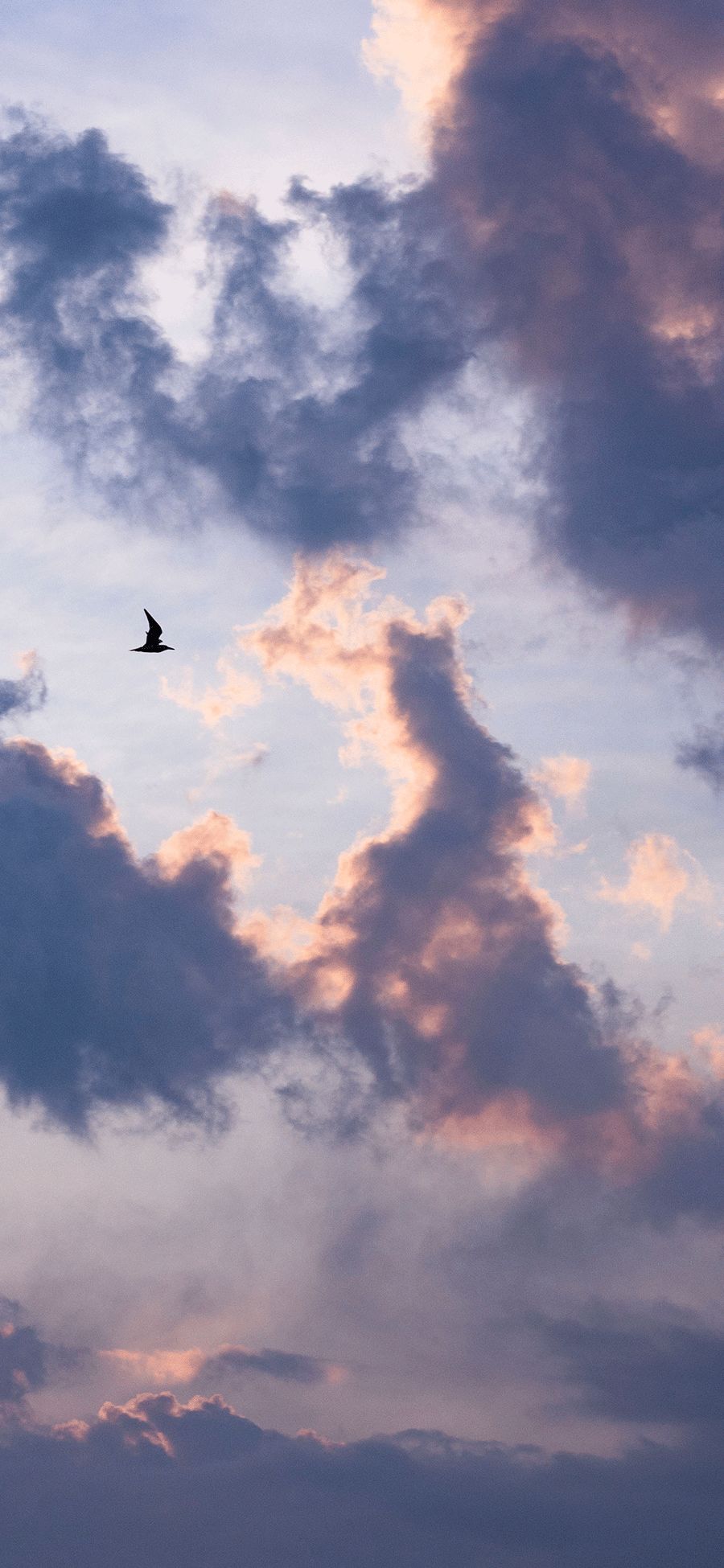 锤子坚果pro3壁纸|风景