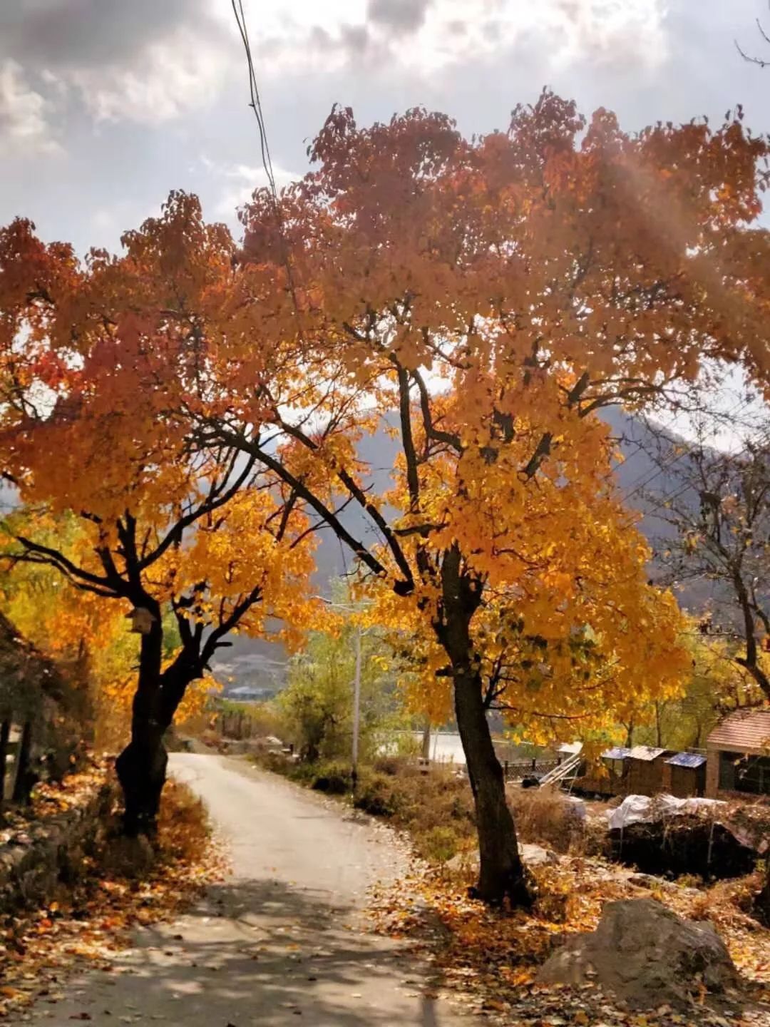 【学习强国】辽宁辽阳:核伙沟森林公园秋色
