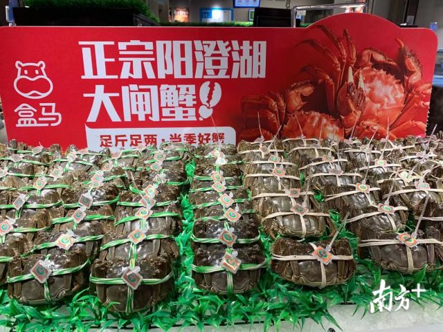 此外,盒马专供的阳澄湖大闸蟹也是经原产地认可的正宗阳澄湖大闸蟹.