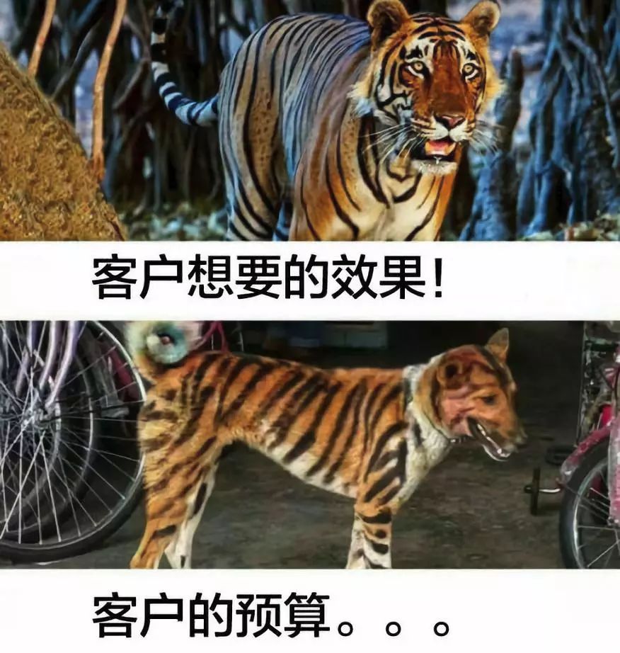 客户预算对比搞笑图图片