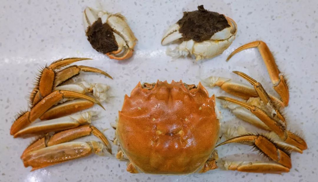 孕期吃螃蟹会流产孩子会吐泡泡横着走是谣言还是事实