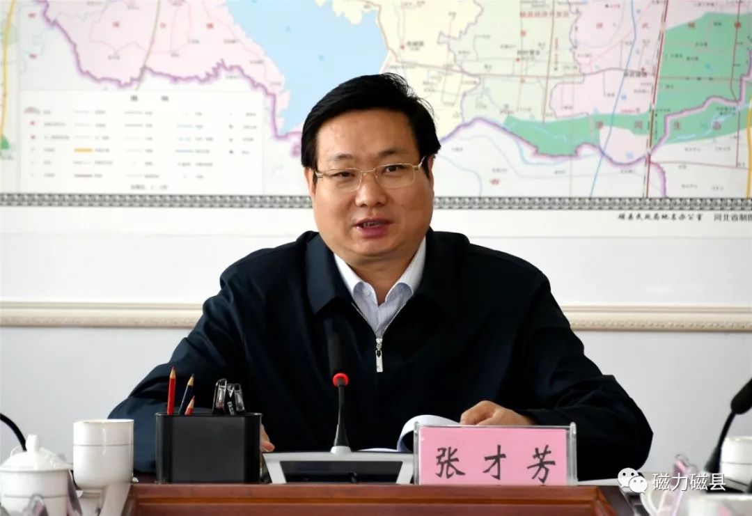 磁县县委书记张才芳调度"双代",洁净型煤及炉具保供,劣质散煤管控工作