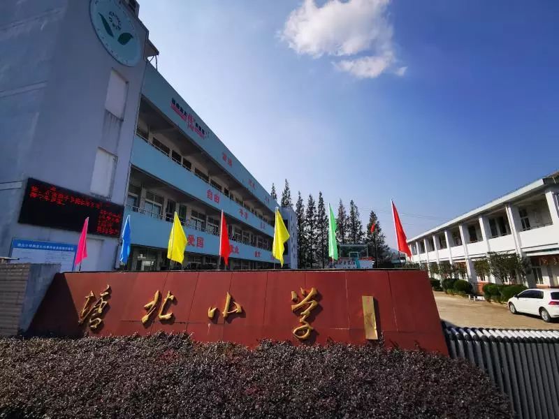 萧江二小优秀党员牵手互联网义务教育帮扶活动