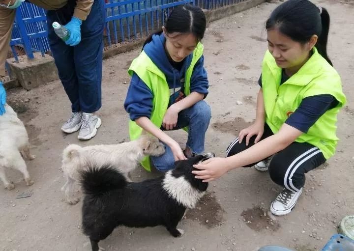夜读丨"与爱同行"——爱之家,关爱流浪猫狗_动物