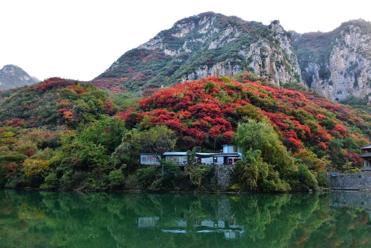 原创青龙山慈云寺深秋美景绚丽如画看一眼惊艳三生