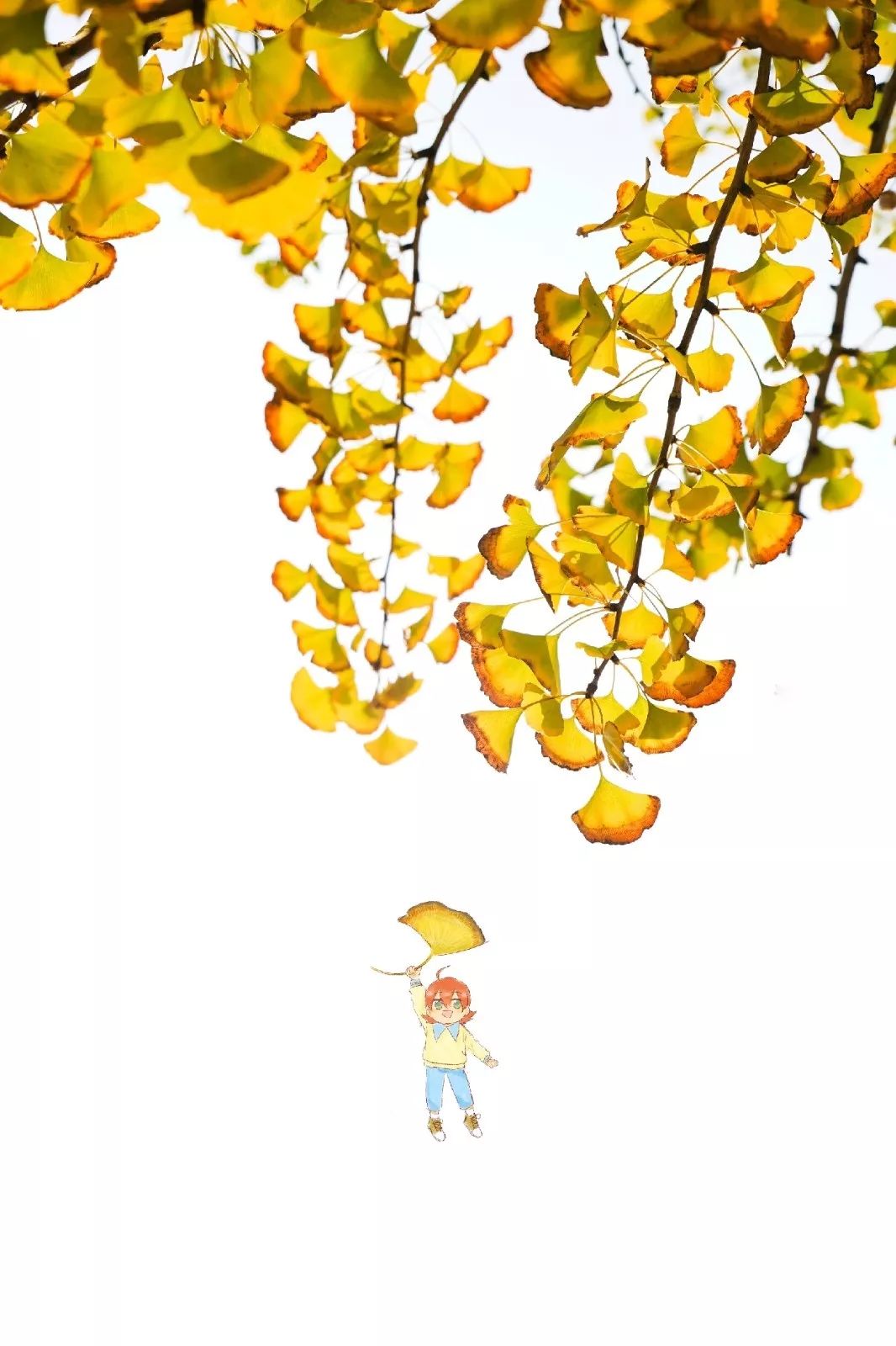 湖中大银杏:我想成为你每天第一眼看见的