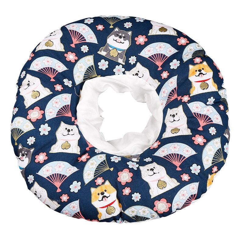 猫咪将伊丽莎白圈弄丢网友整出个泡面圈别说还挺好看的