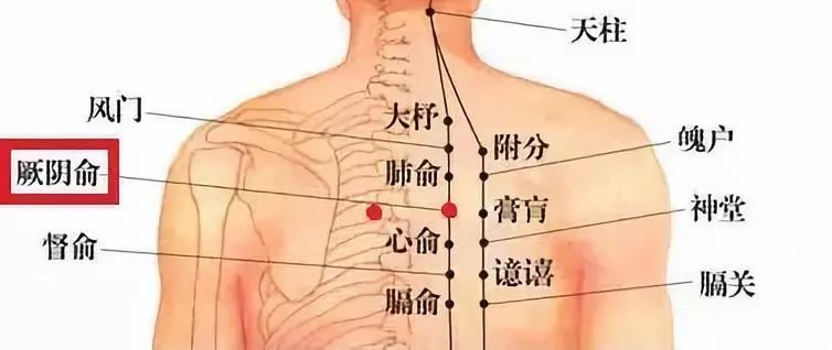 神堂的准确位置图图片