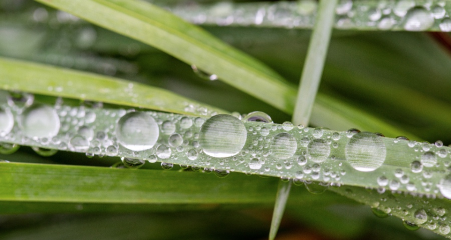 面临生存威胁非危言耸听,LG Display三季报巨亏只是危局的开始-家电圈官网