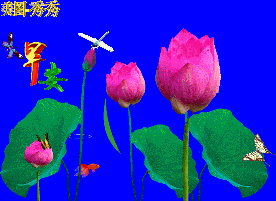 晨起锻炼多自在,又赏美景保身材,防寒保暖健身好,健康体魄好运来.