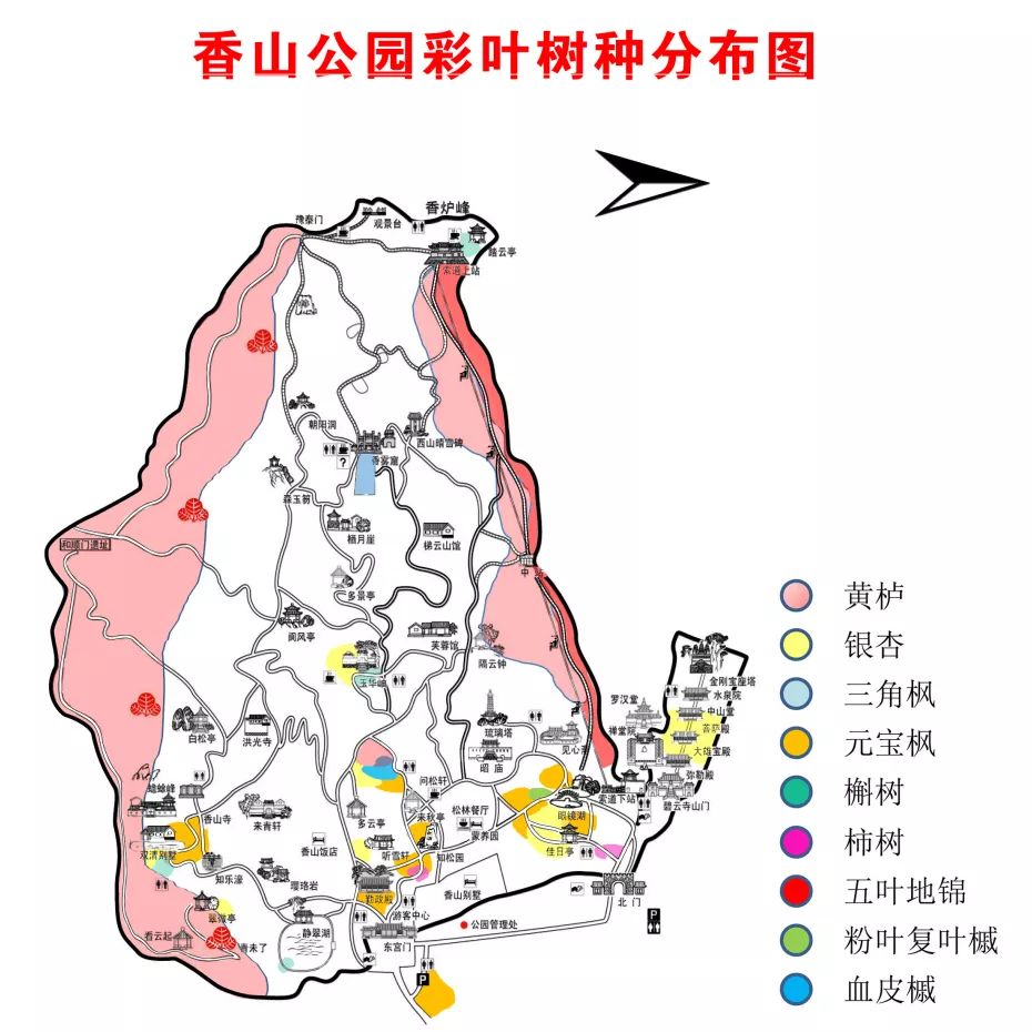 香山游览路线示意图图片