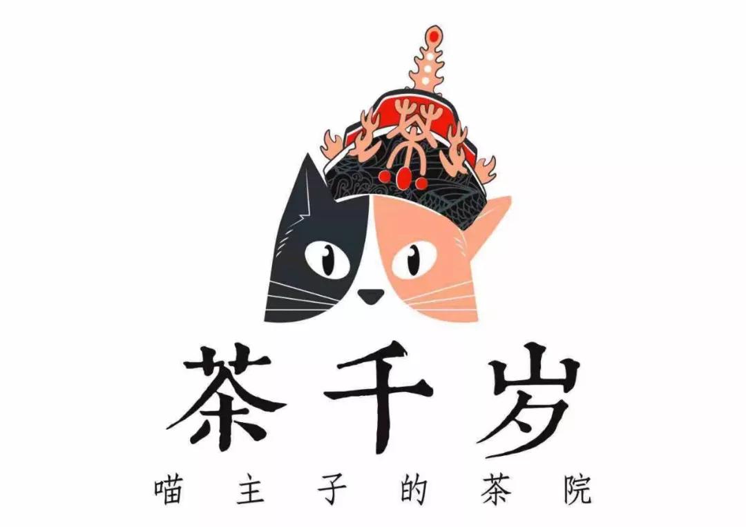 茶千岁驾到又萌又傲娇的猫主子茶饮等你来吸