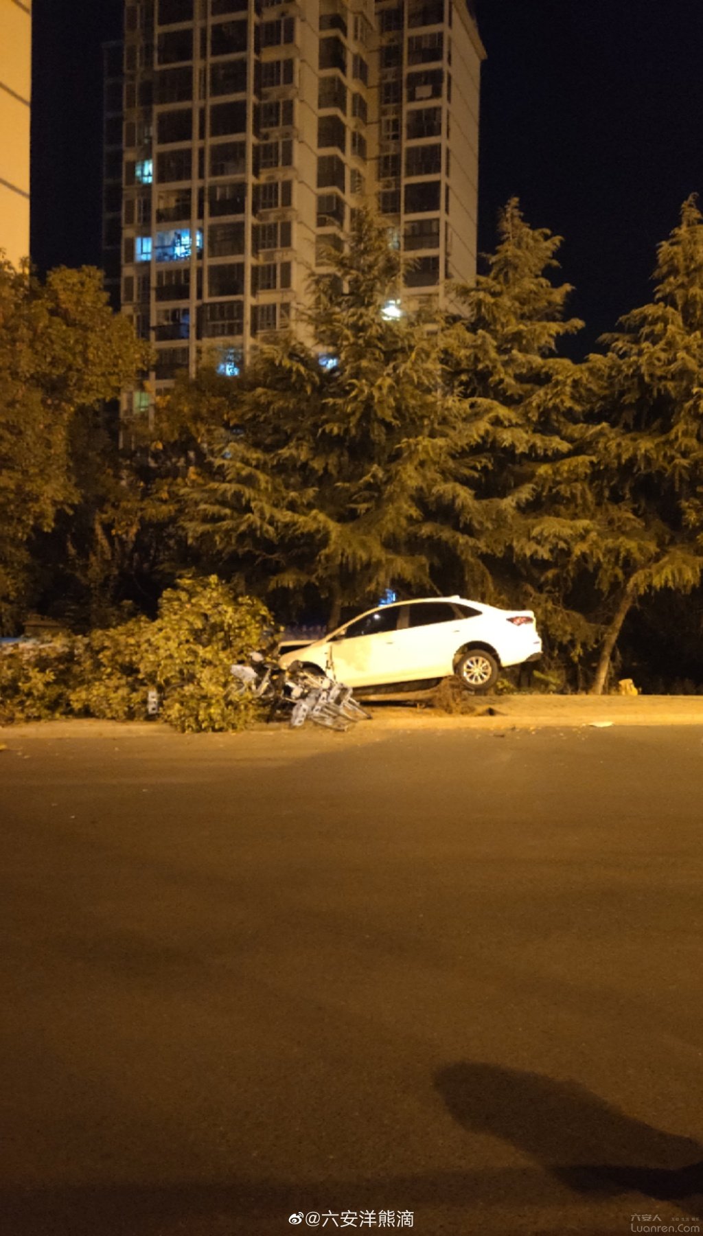 昨夜月亮岛环岛路又出交通事故了!行道树被连根撞断!驾驶员涉嫌酒驾?