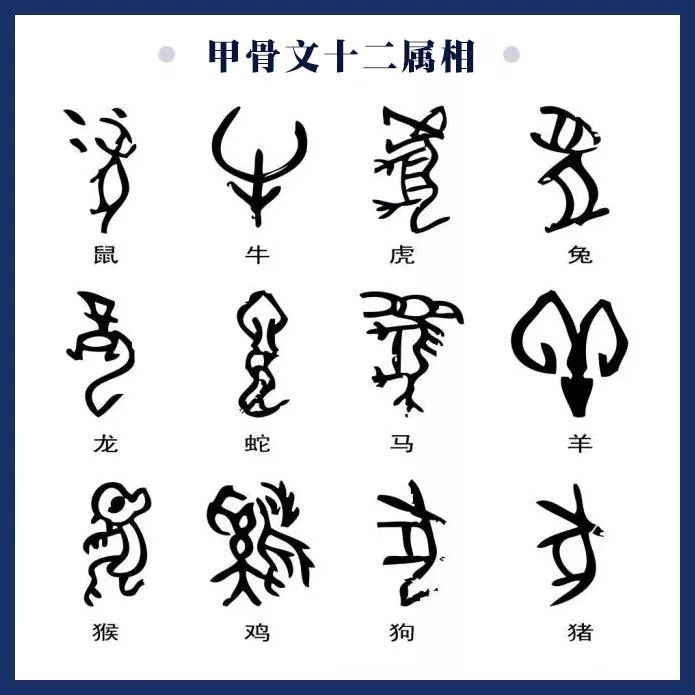 没想到你是这样的甲骨文