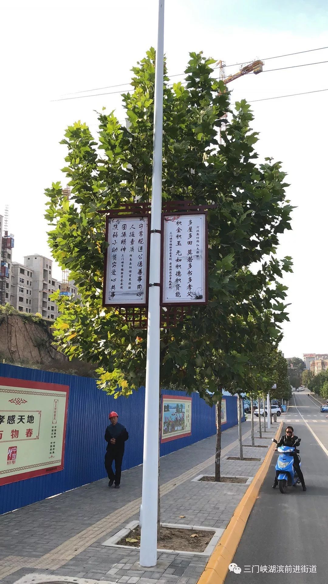 助力文明城市创建湖滨区百副楹联登上路灯杆
