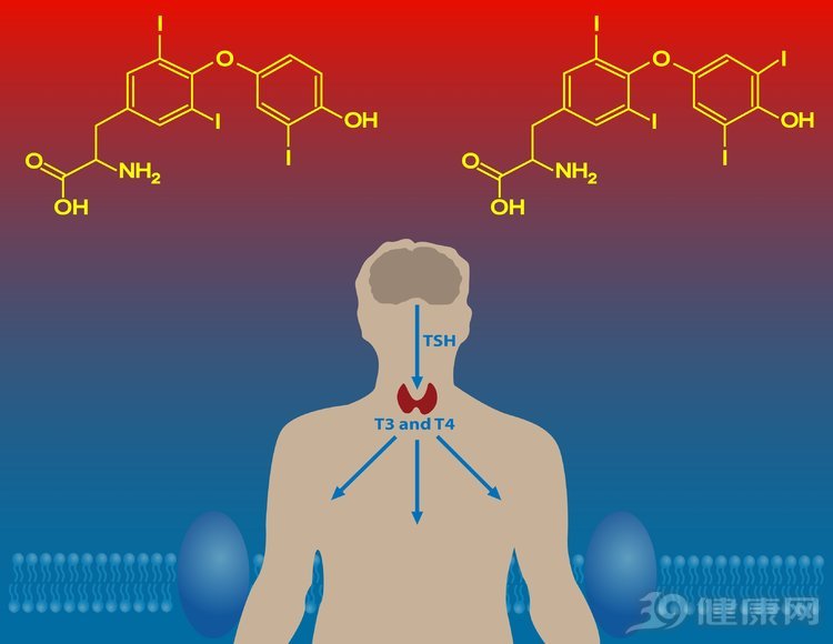 医生总说你内分泌失调?四个信号,三大方法,帮你准备识别它