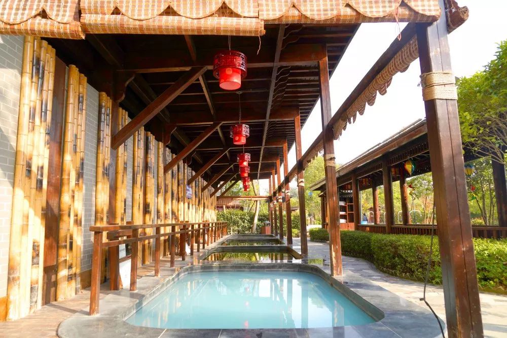 泰州天德湖温泉 自助餐双十一预购!价格帮你打下来了