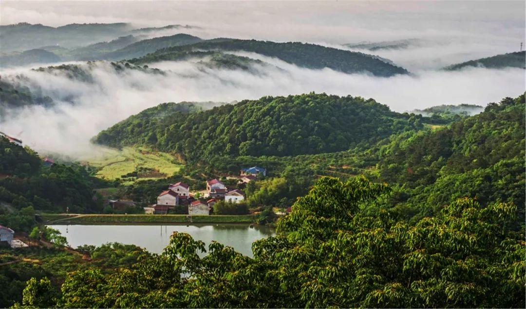 记者老区行丨太浮山工农武装割据的英雄之山
