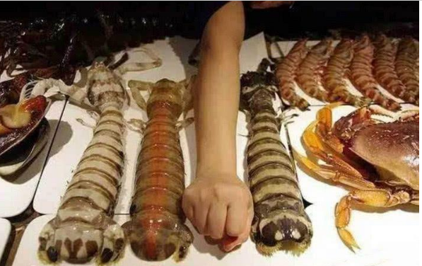 去泰国吃 手臂粗 的皮皮虾 两人点了30只 结账时成了哑巴 中国