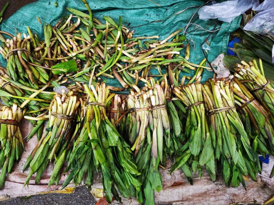 图为在集市上看到的一种野菜,叫雪笋,也叫雪竹或者竹叶菜,生长于云南
