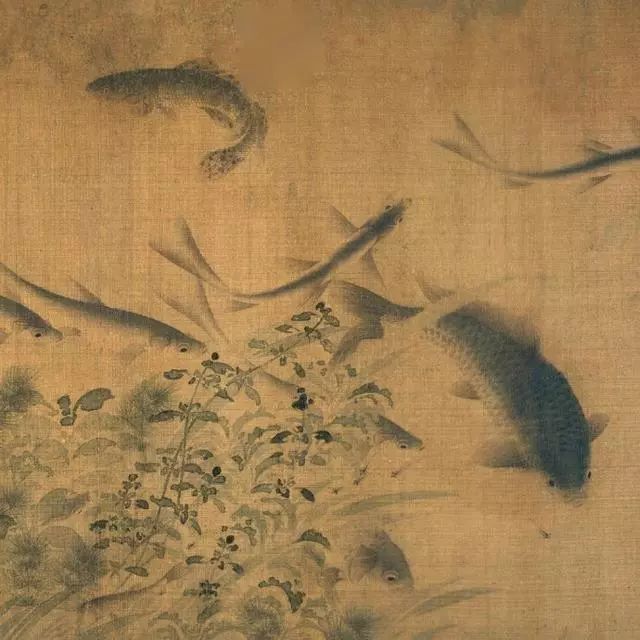 北宋名画刘寀的群鱼戏瓣图卷快来欣赏一番