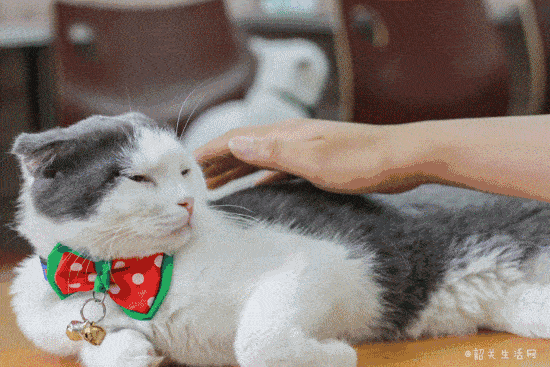 550_367gif 动态图 动图