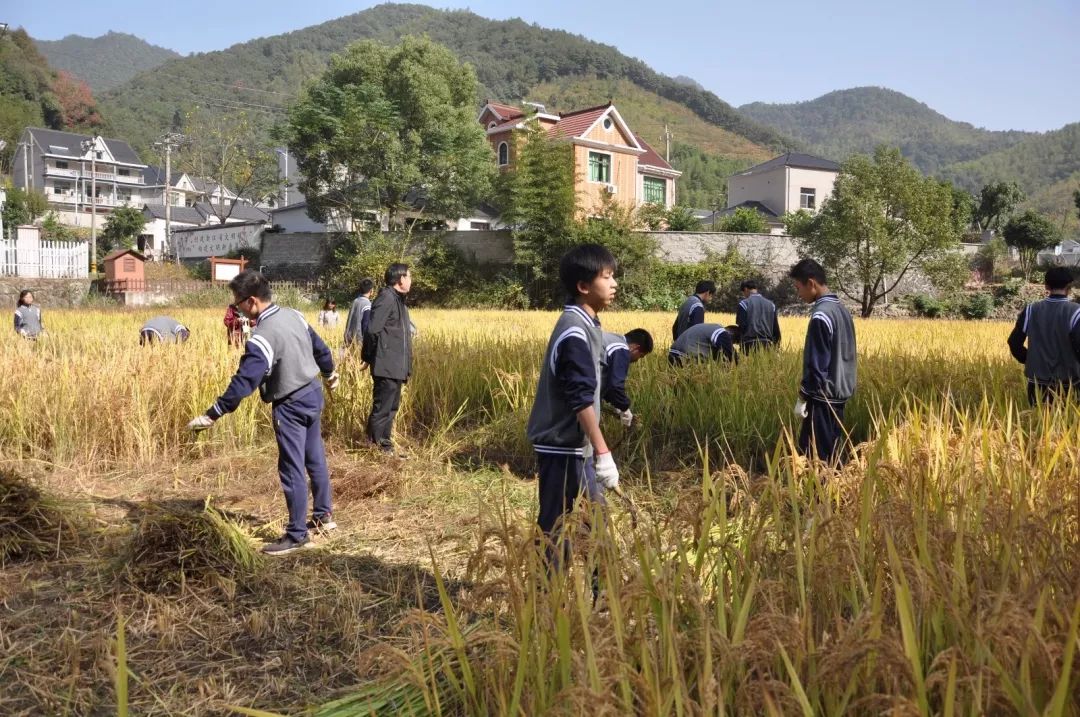 田野里的课堂富春中学开展新劳动教育实践体验活动