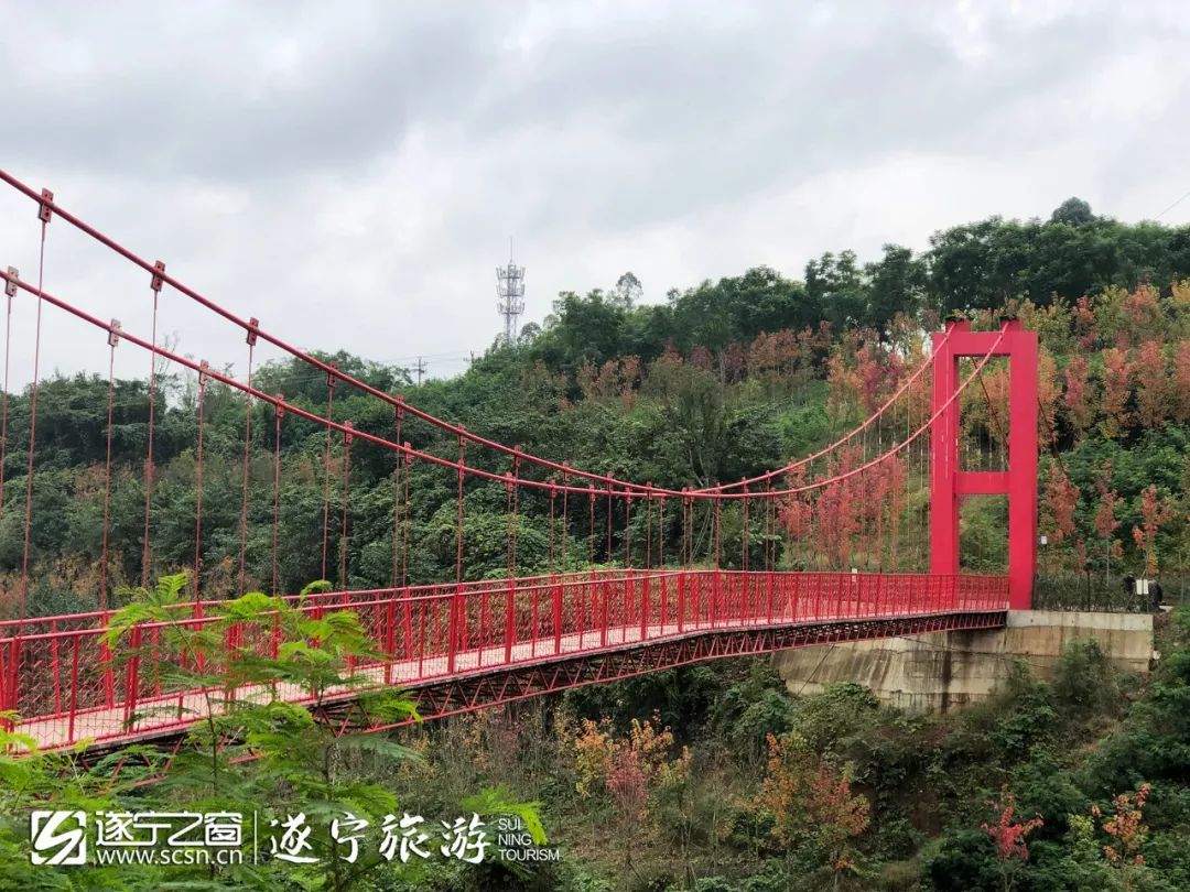 遂宁西山森林公园吊桥图片