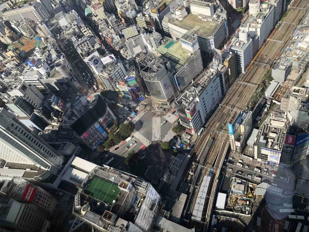 11月1日开业涩谷新地标shibuyascramblesquare