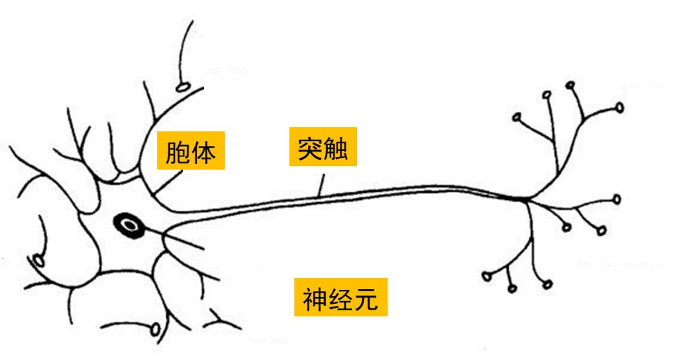 一本正经说脊髓灰质炎的科学预防