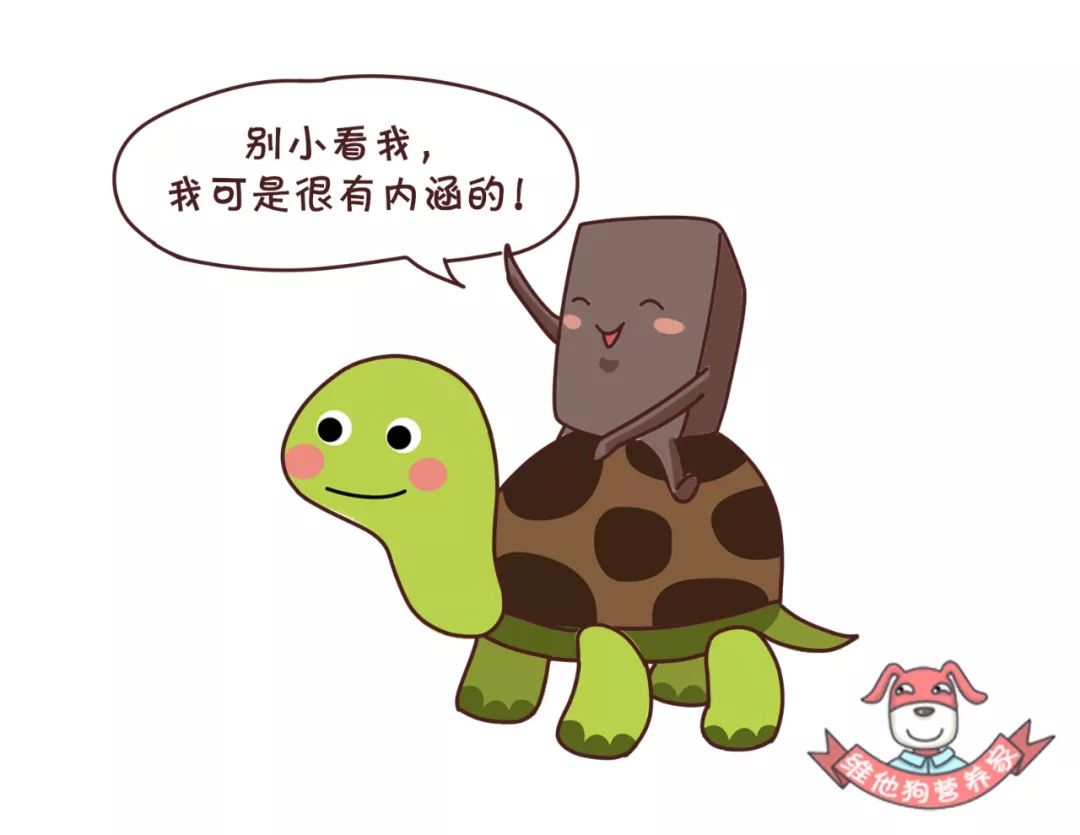 【龟苓膏】