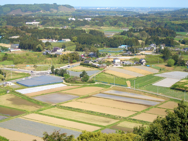 全球最舒適的日本農村生活很多城裡人回農村買房種地養花