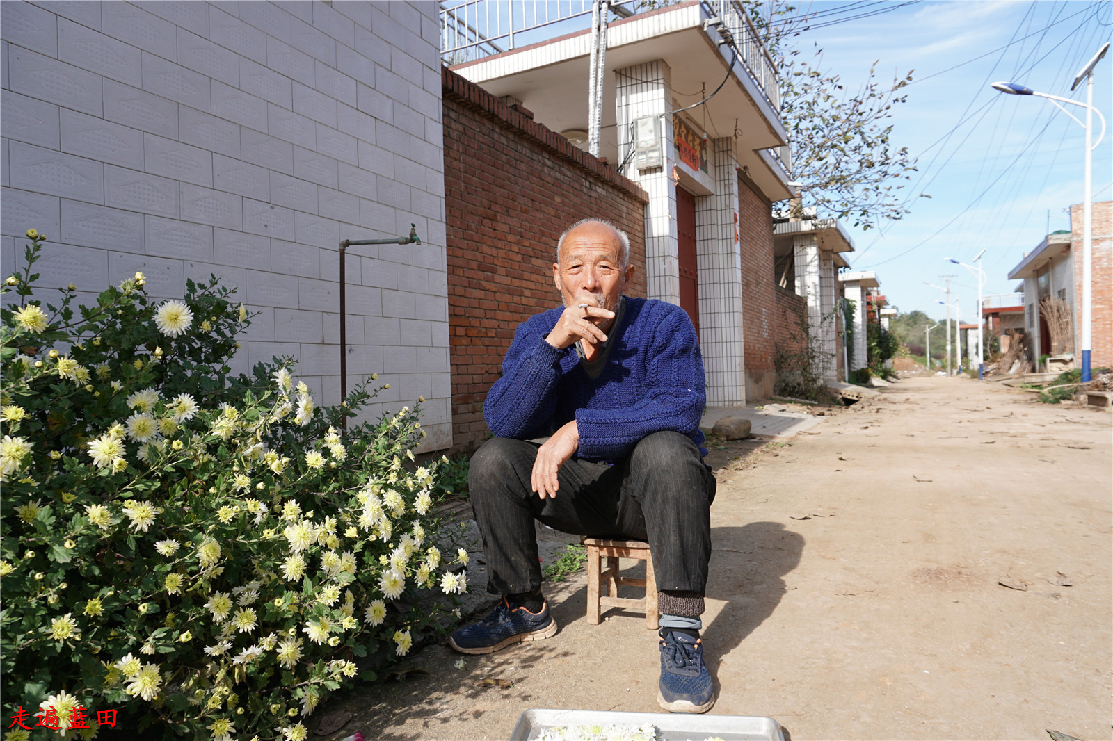 走遍蓝田2019焦岱镇水泉村穿越旅行2