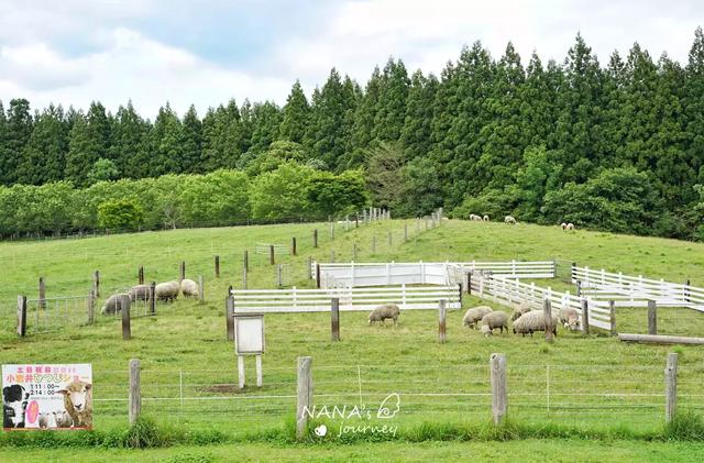 据说日本最好的乳制品出自这个农场如今也是亲子游玩的好去处