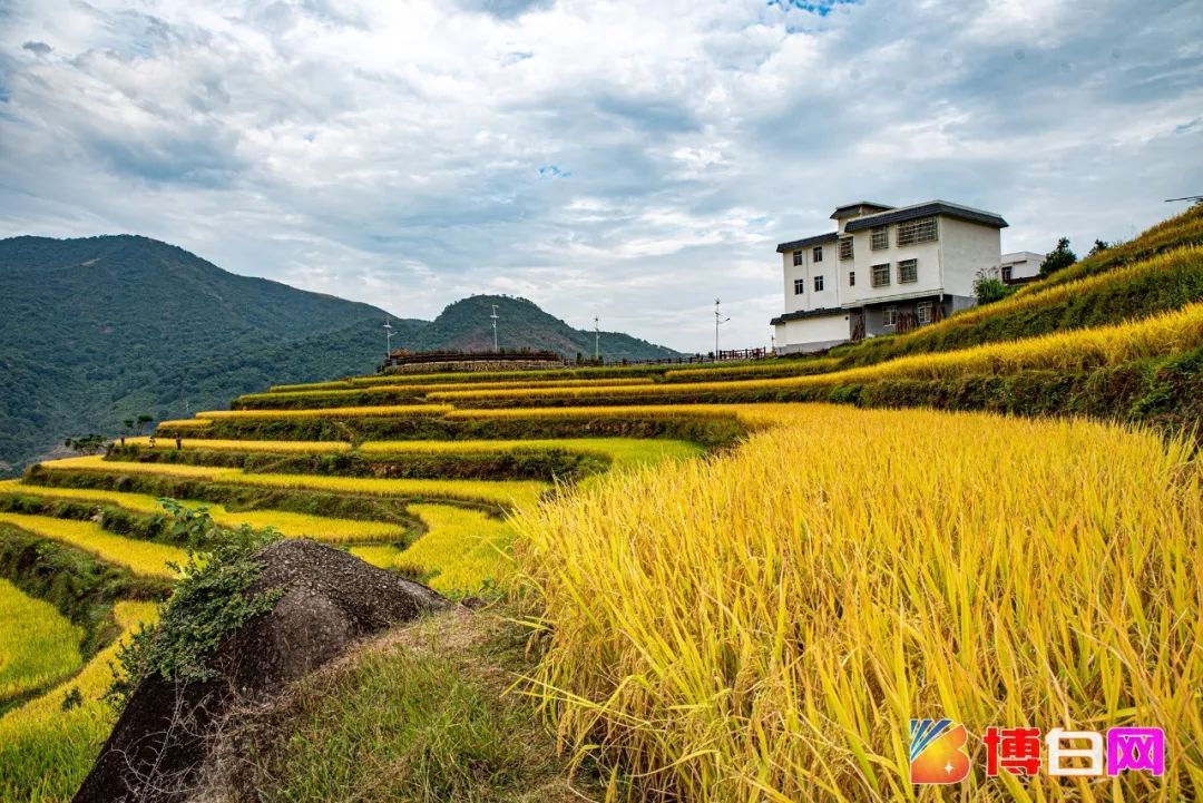 博白县顿谷镇大塘梯田,位于海拔860多米,素有"压倒岭南第一峰"之美称