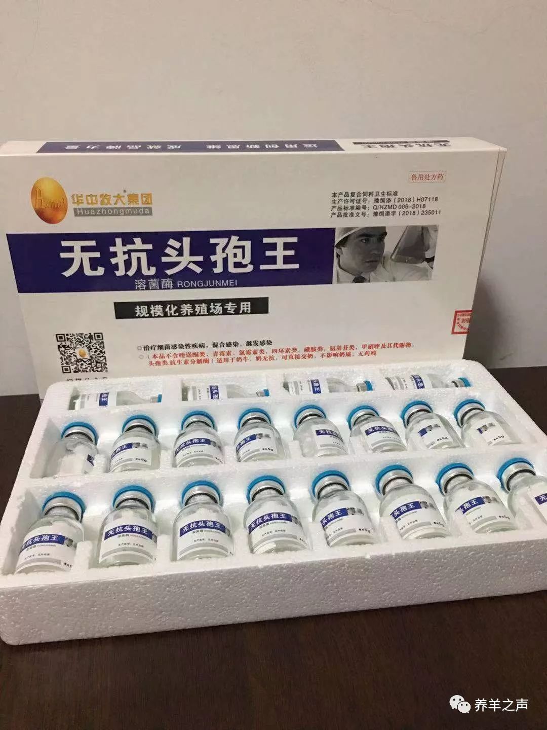 无抗头孢新一代全身性感染及重症感染呼吸系统感染泌尿生殖系统感染