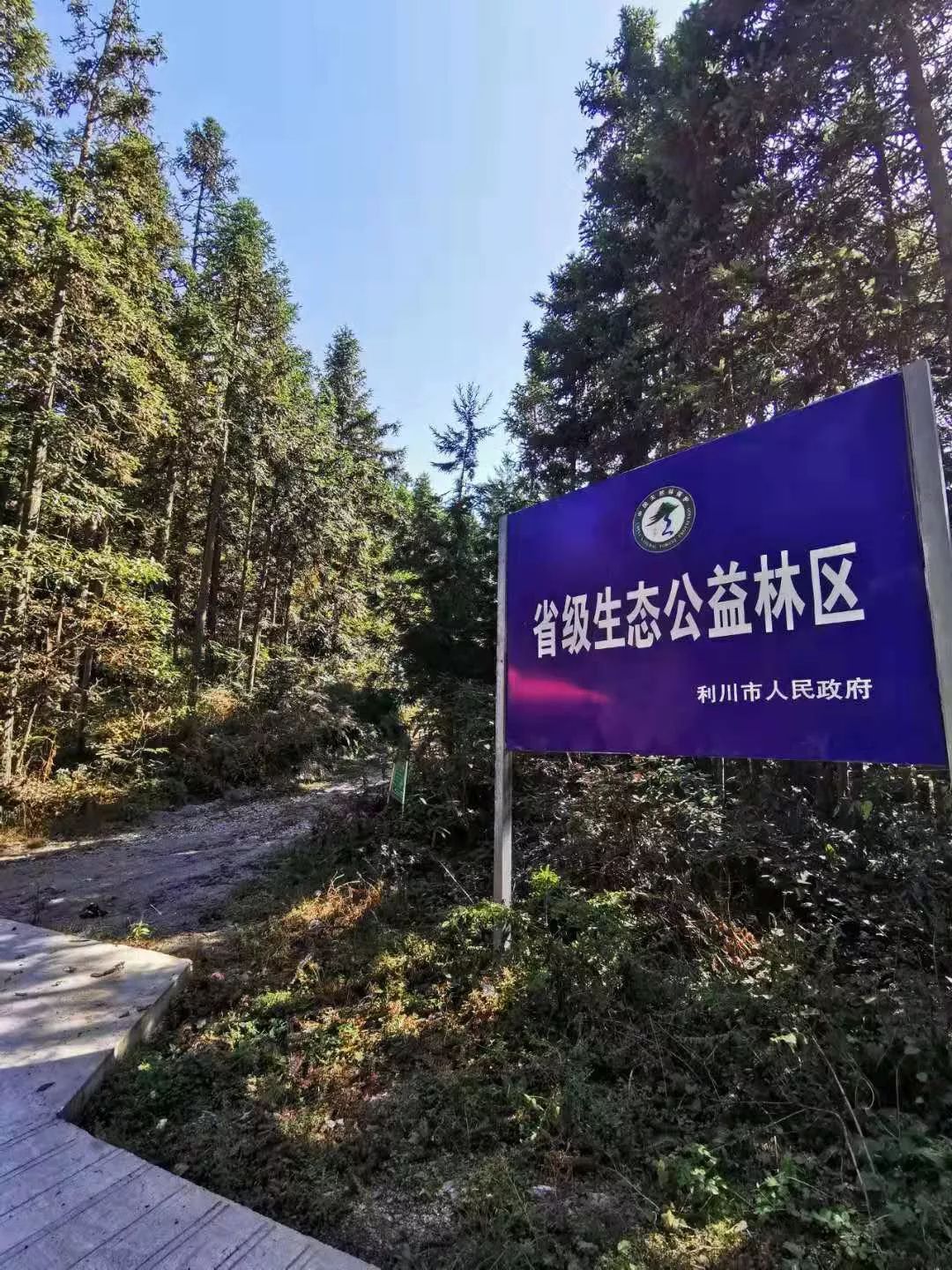 甘溪山为省级生态公益林区甘溪山物华天宝,人杰地,堪称武陵山区的一块