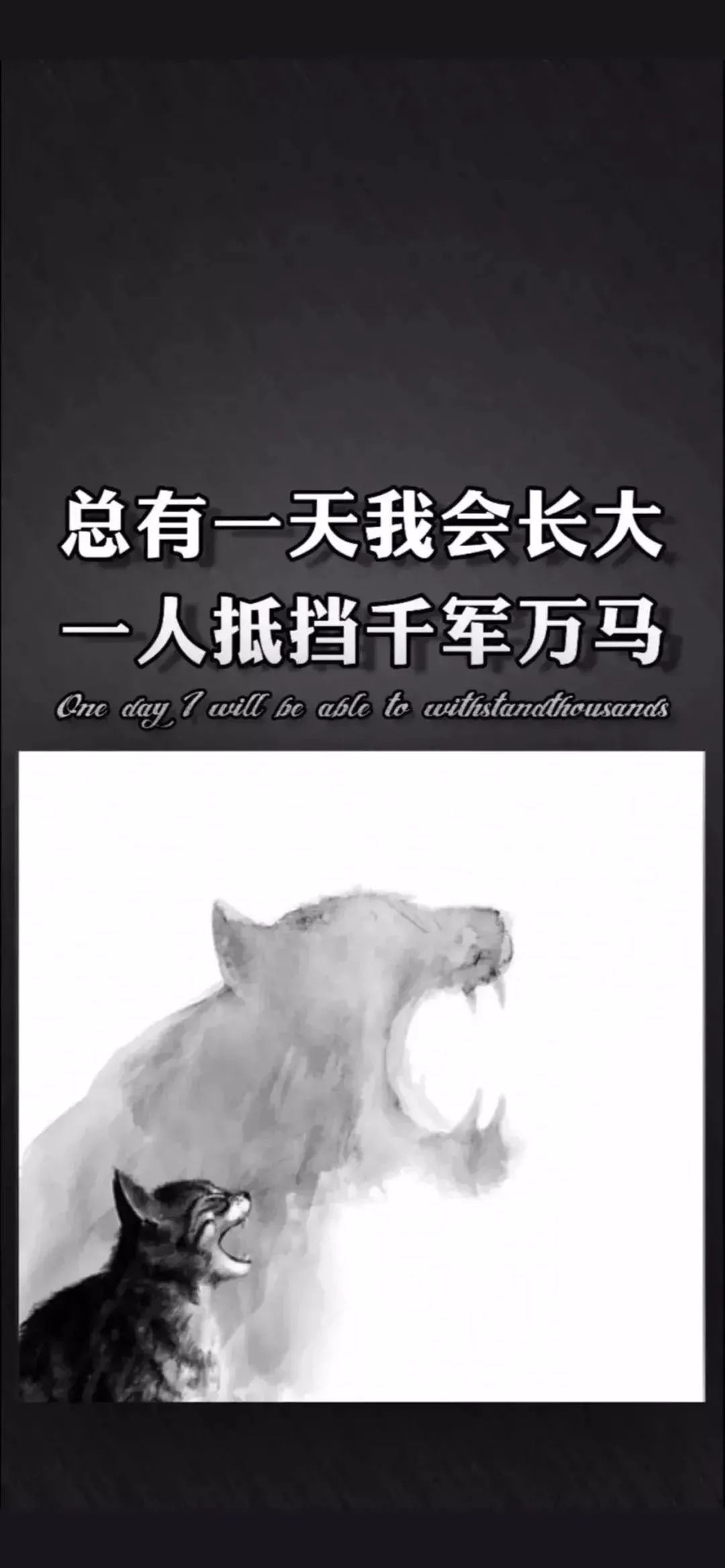 抖音壁纸丨月亮不会奔向你但我会