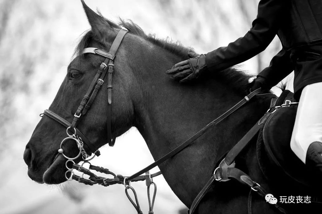 马缰革一条可以陪你策马奔腾的皮带