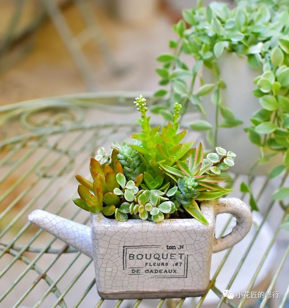 园艺美学生活遇见美妙