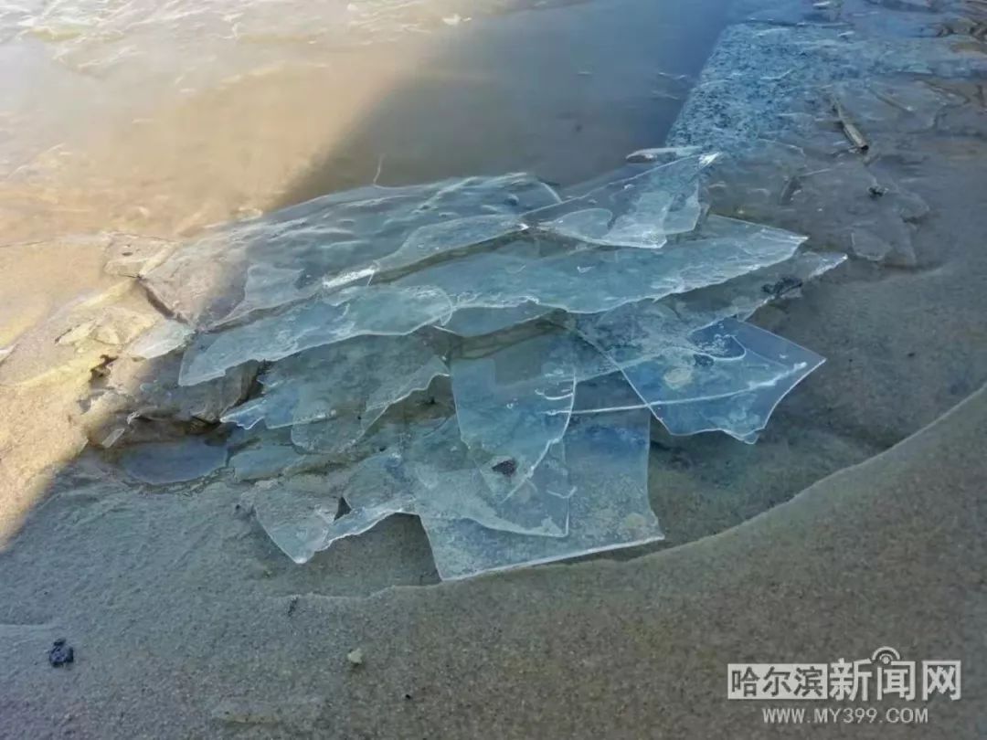一夜之间,江边儿已经有冰碴了!丨下周将迎雨夹雪天气_松花江
