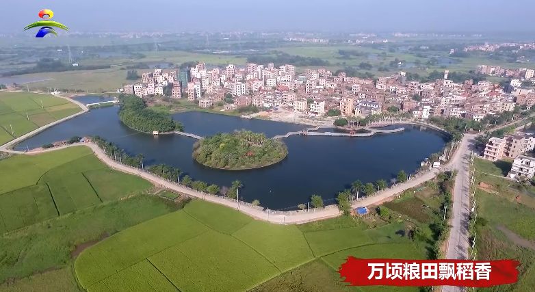 犀利!吴川这条比公园还美的村庄上电视了!_新农村