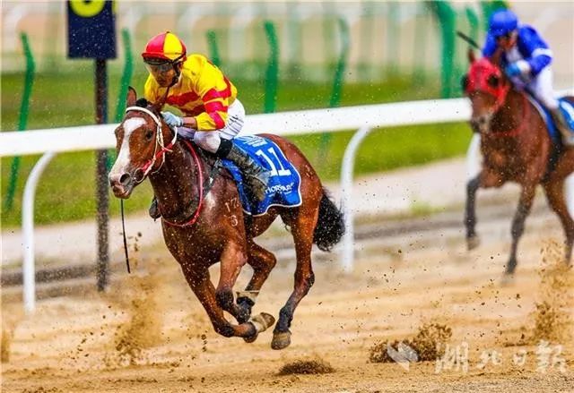 賽事武漢國際賽馬節首日澳洲騎師拔得頭籌