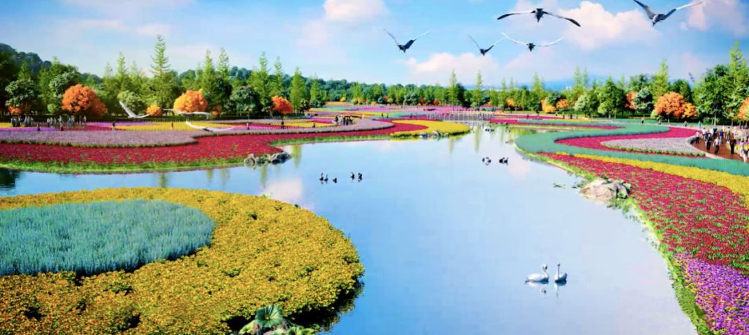 足球基地珍稀植物园长沙大王山又要新增打卡地了