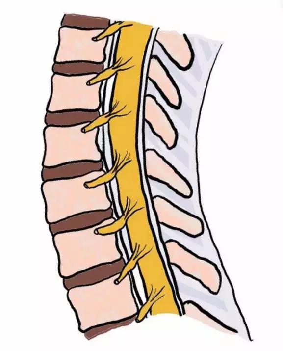颈子僵肩膀痛8个动作拯救僵硬脖