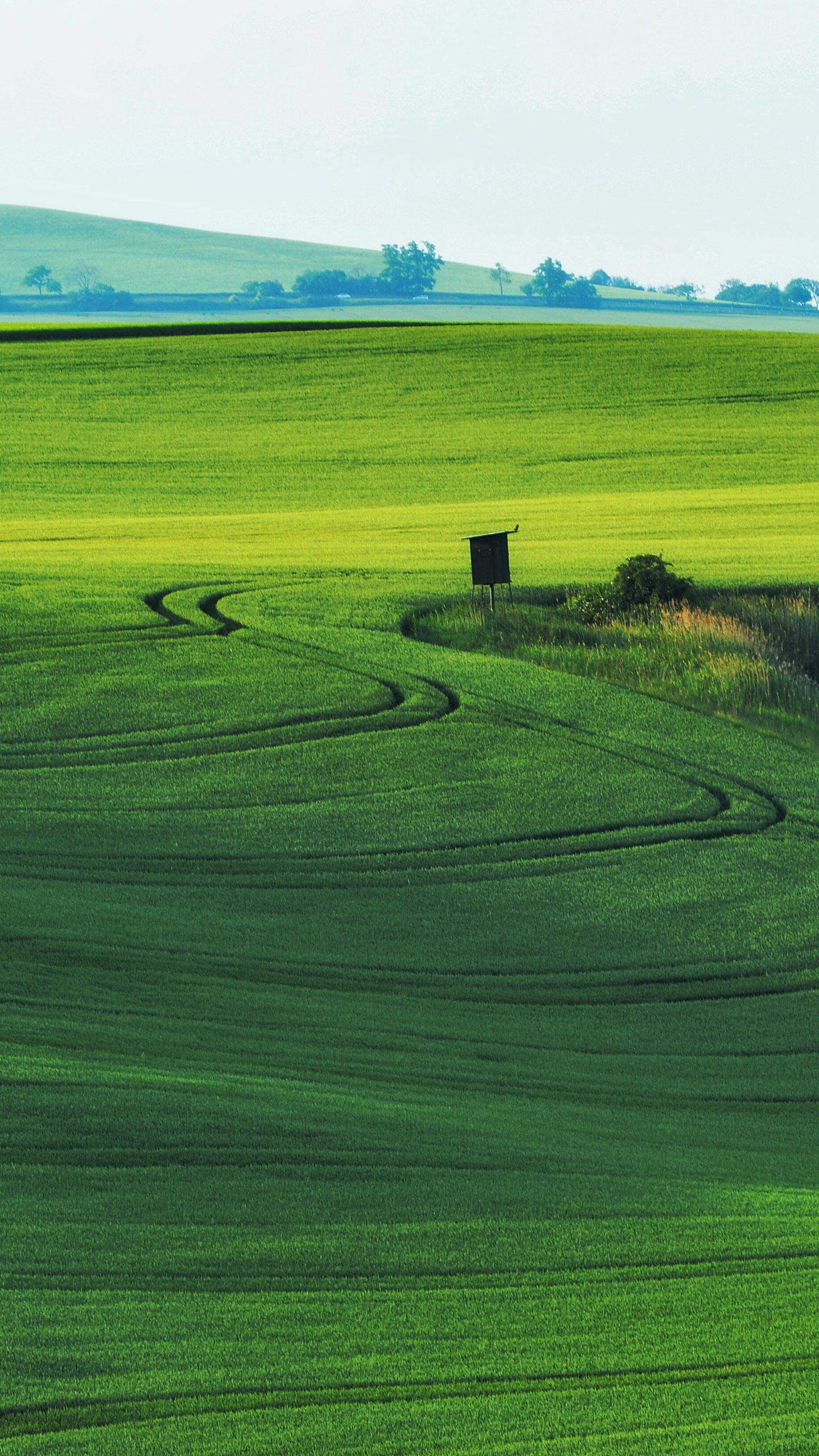 点击进入看图评论