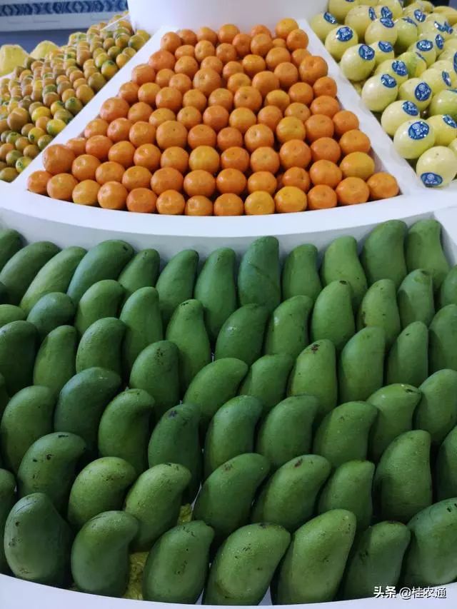 广西水果产量跃居全国第一桂林百色等14市争奇斗艳究竟谁是一哥