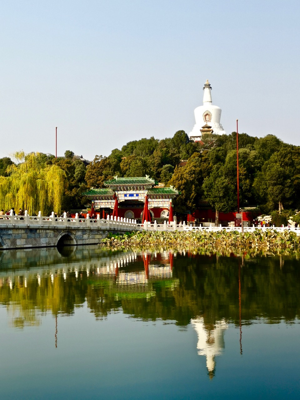 记录北京的秋天:北海公园望白塔,秋水共长天