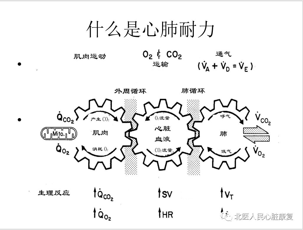 为什么要评估我们的心肺功能?评估心肺功能对我们的治疗有什么好处?