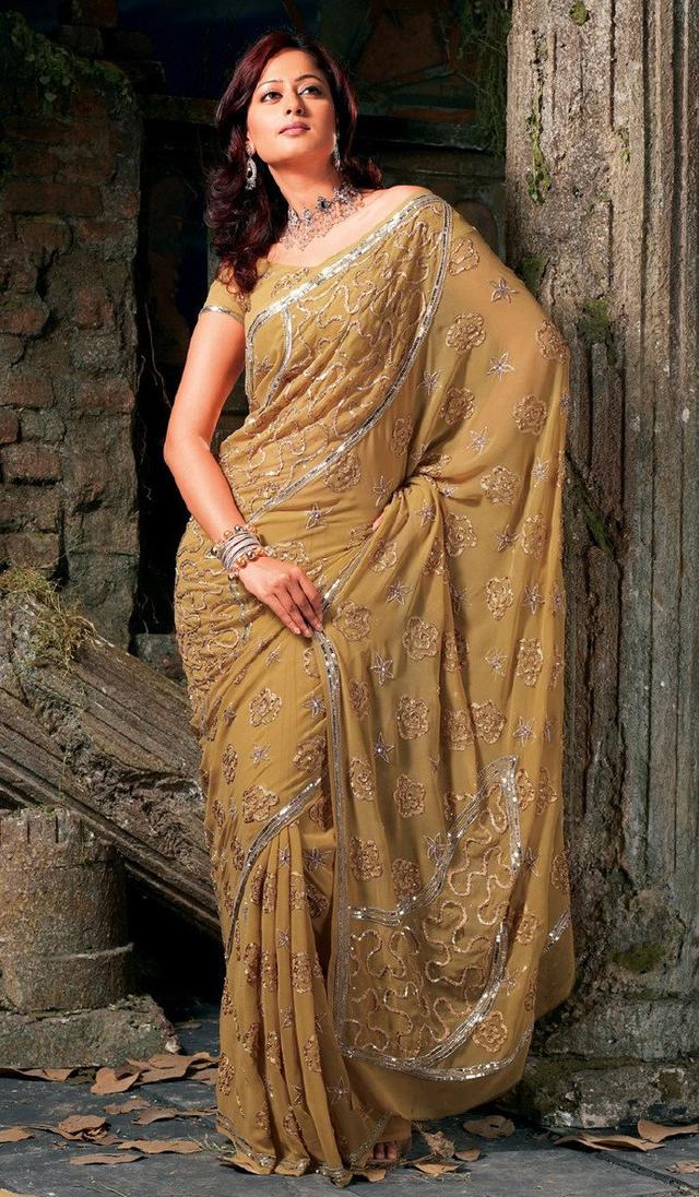 【国外油画】宛如古典油画般的印度性感女郎,天生丽质_美女